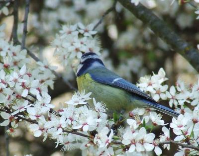 Прикрепленное изображение: Sss2.jpg